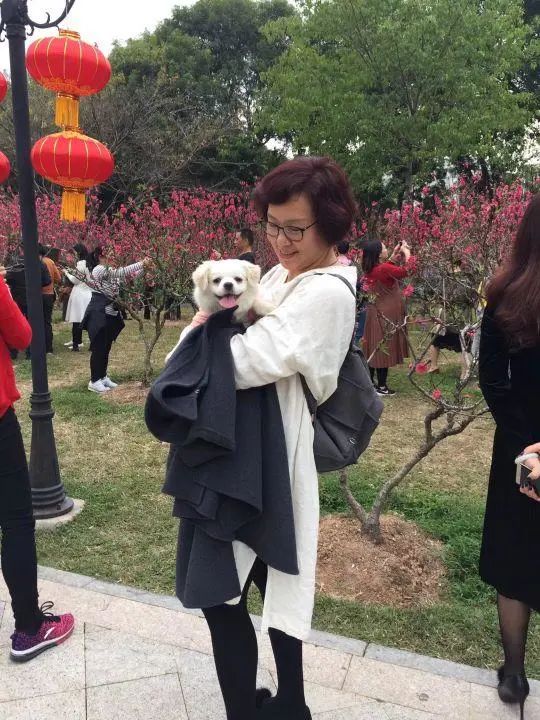58歲的她，自駕房車旅居，一人兩犬，活成了自己喜歡的樣子