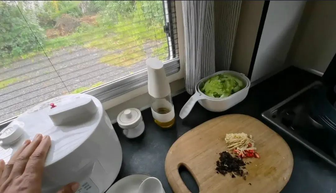 58歲的她，自駕房車旅居，一人兩犬，活成了自己喜歡的樣子